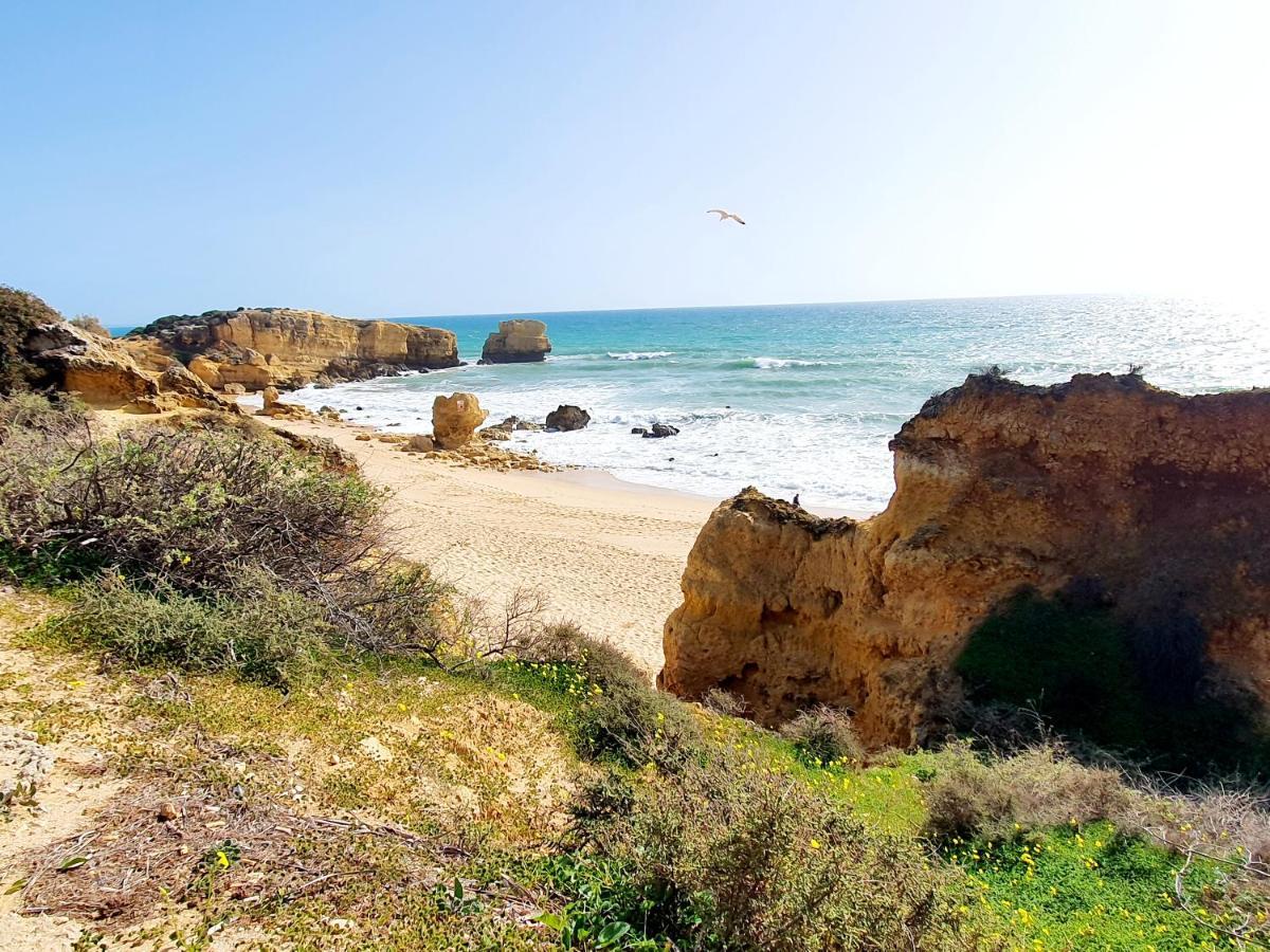 Vila Canameira Beach - Albufeira Exteriér fotografie